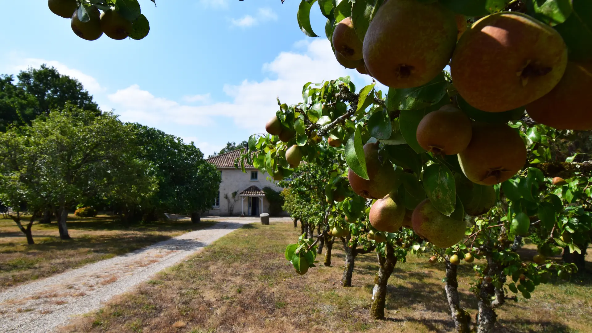 HLOAQU047FS000L5-2025-9