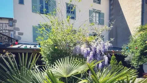 3 jardin maison - Grande - Moyenne