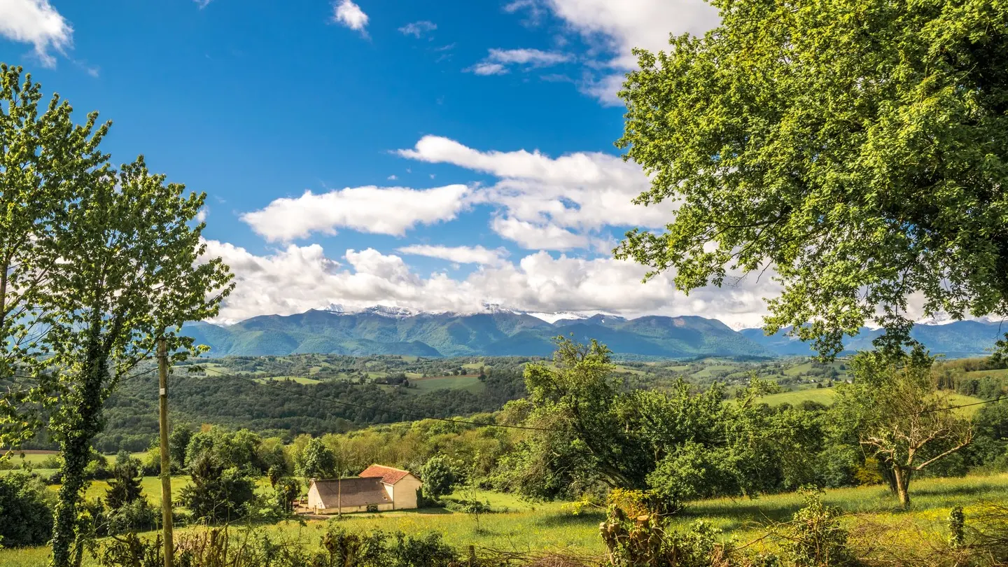 Pyrénées Bosdarros