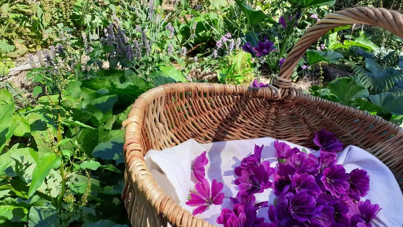 301702849_1205087100338542_3213731906113628424_n