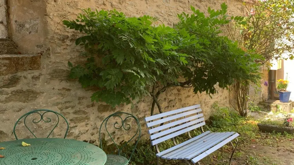 La cour pavée