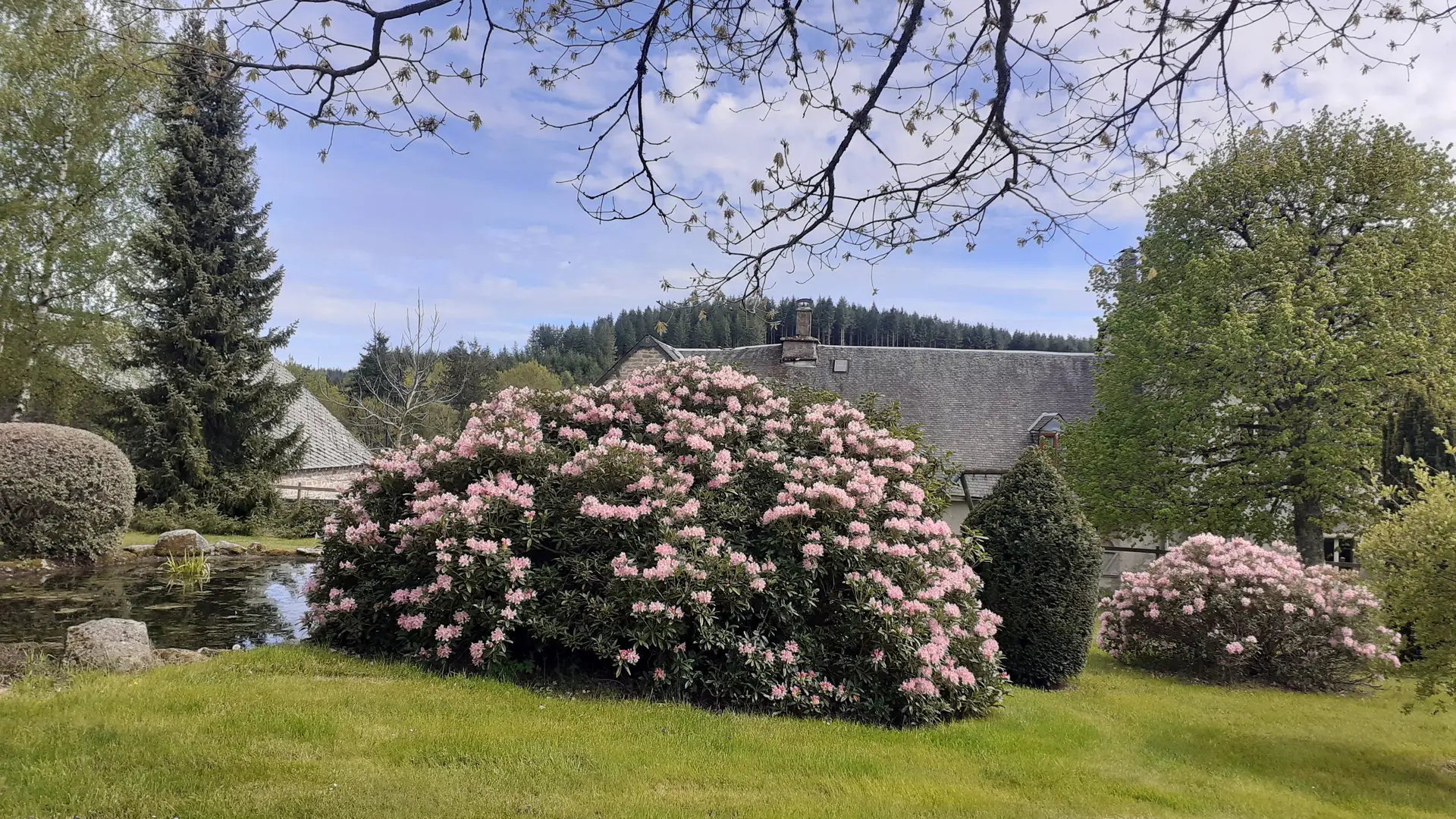32. En fleurs au printemps
