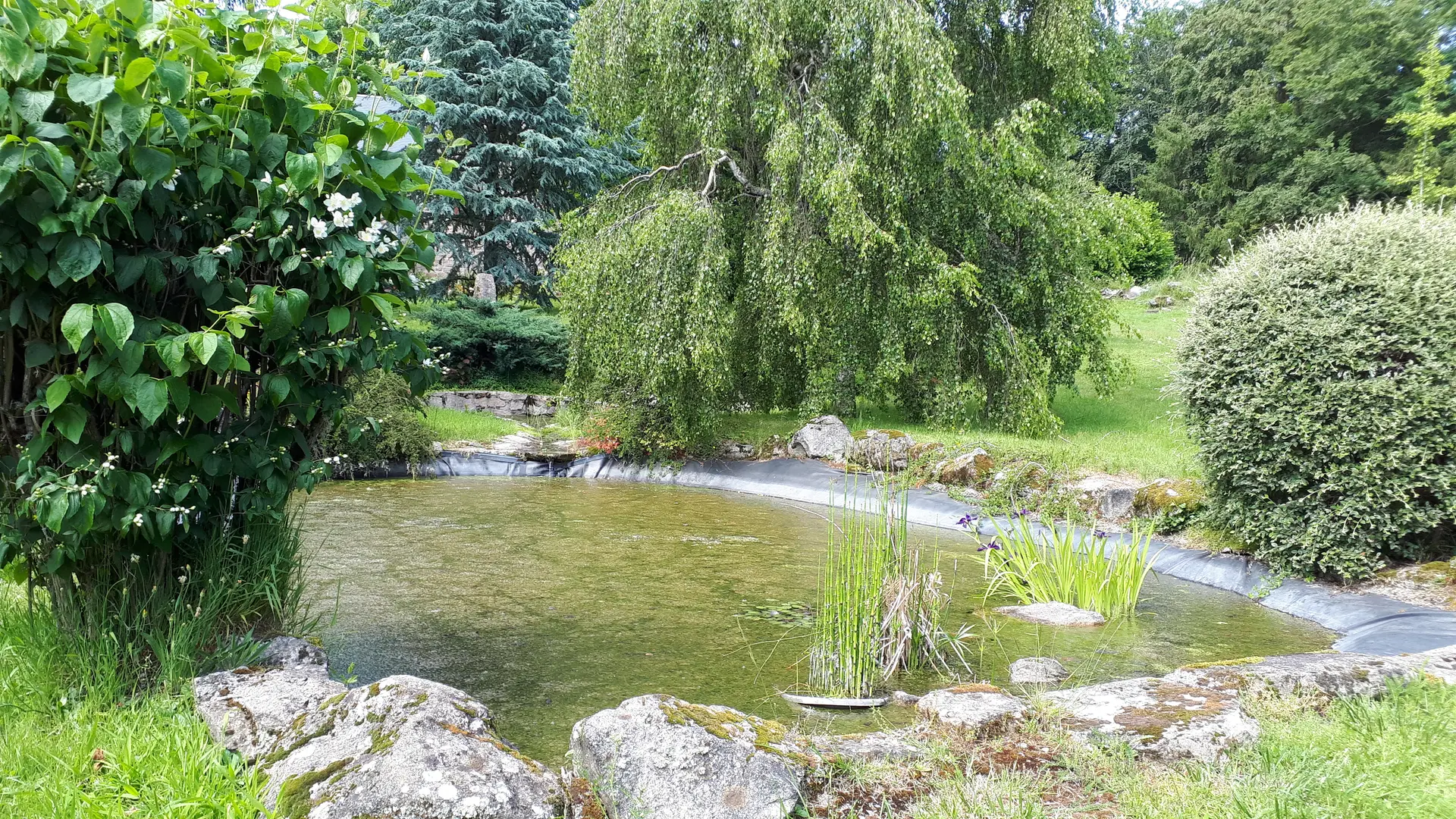 34. Un des deux petits bassins