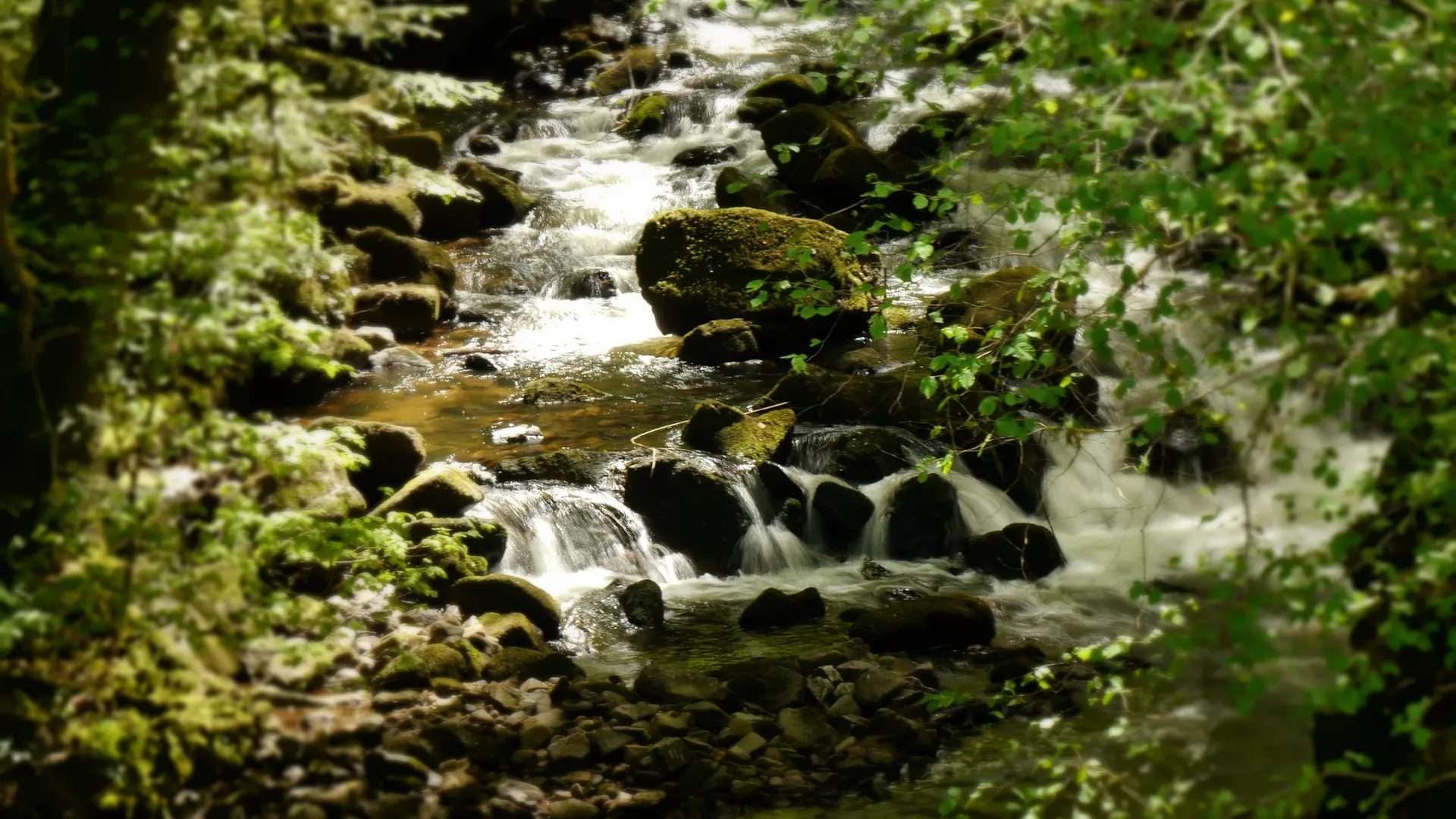 34239972485_76cae1c6af_k