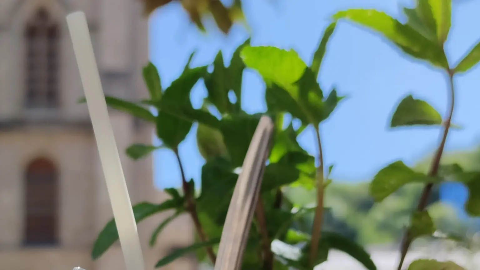 345427443_1280434386184053_5698130503254324059_n