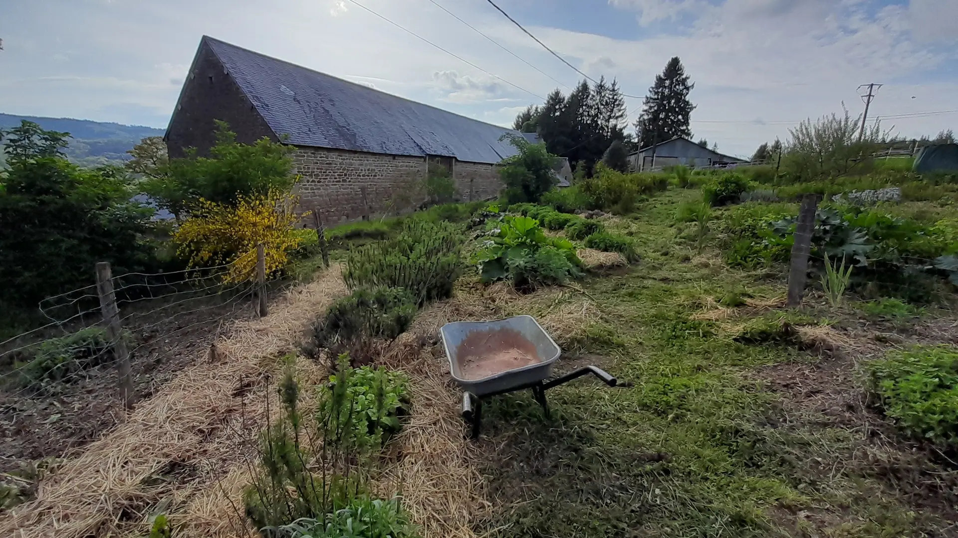 347230767_217343427726828_3068662611106277692_n