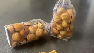 371784478_877969480621837_7859995631777123355_n