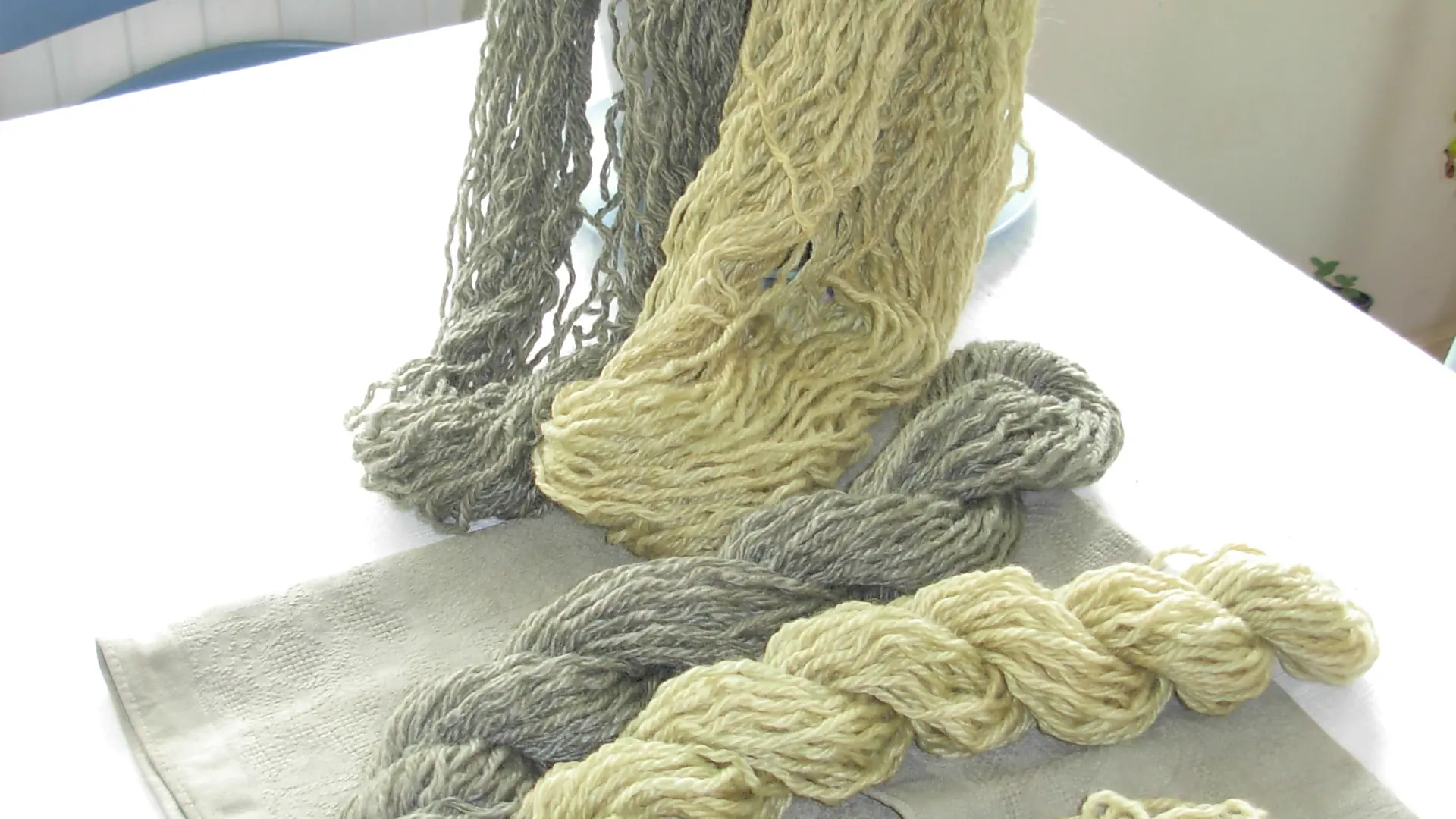 teinture de fougères