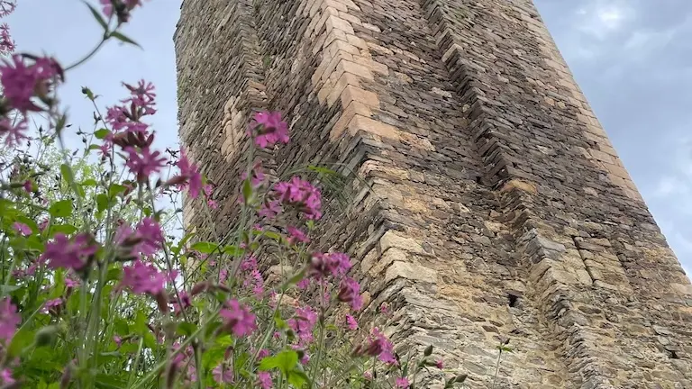 tour Jeannette Châlucet