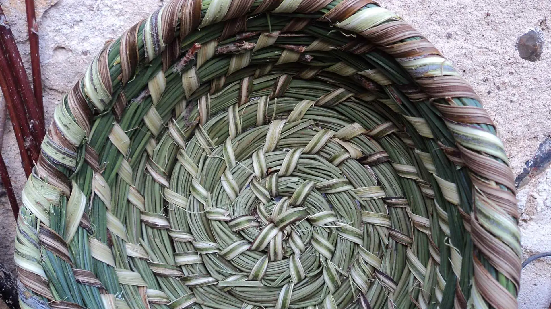 vannerie spiralée