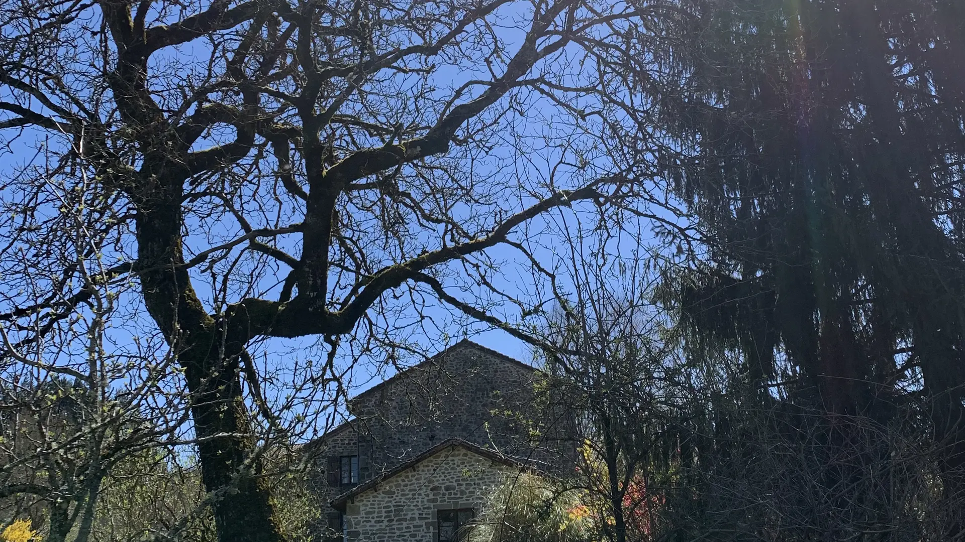 vacances-au-lac-de-saint-pardoux-gite-14-personnes-jardin-vakantiehuis-aan-een-meer-frankrijk-tuin-01