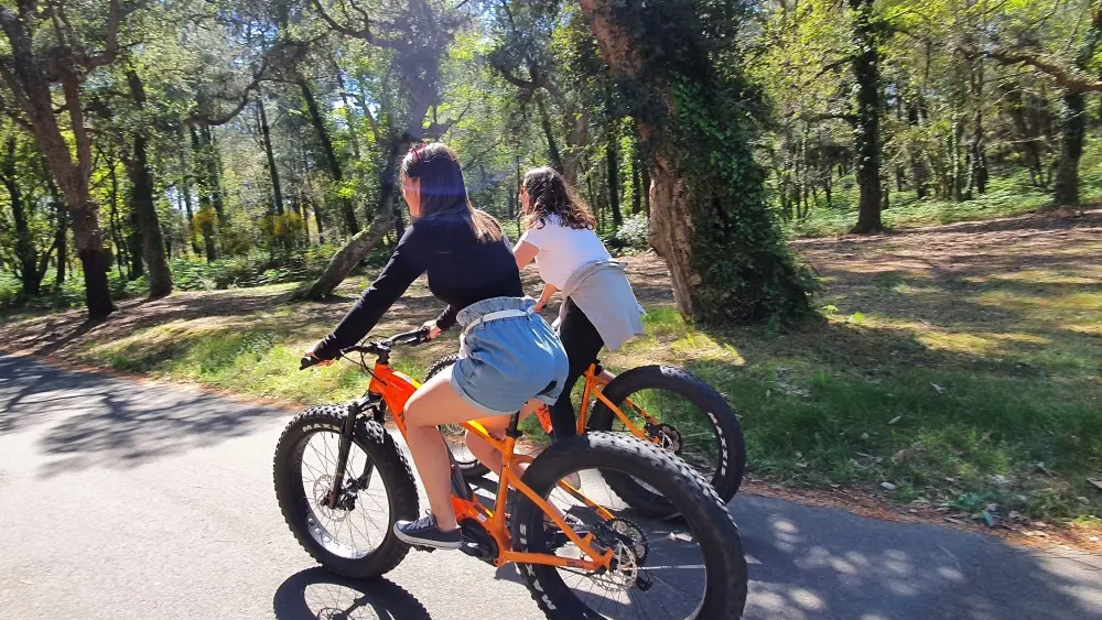 Les vélos de Pilou
