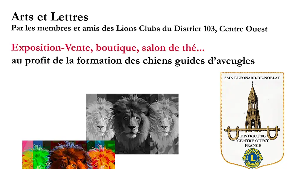 Lions expo