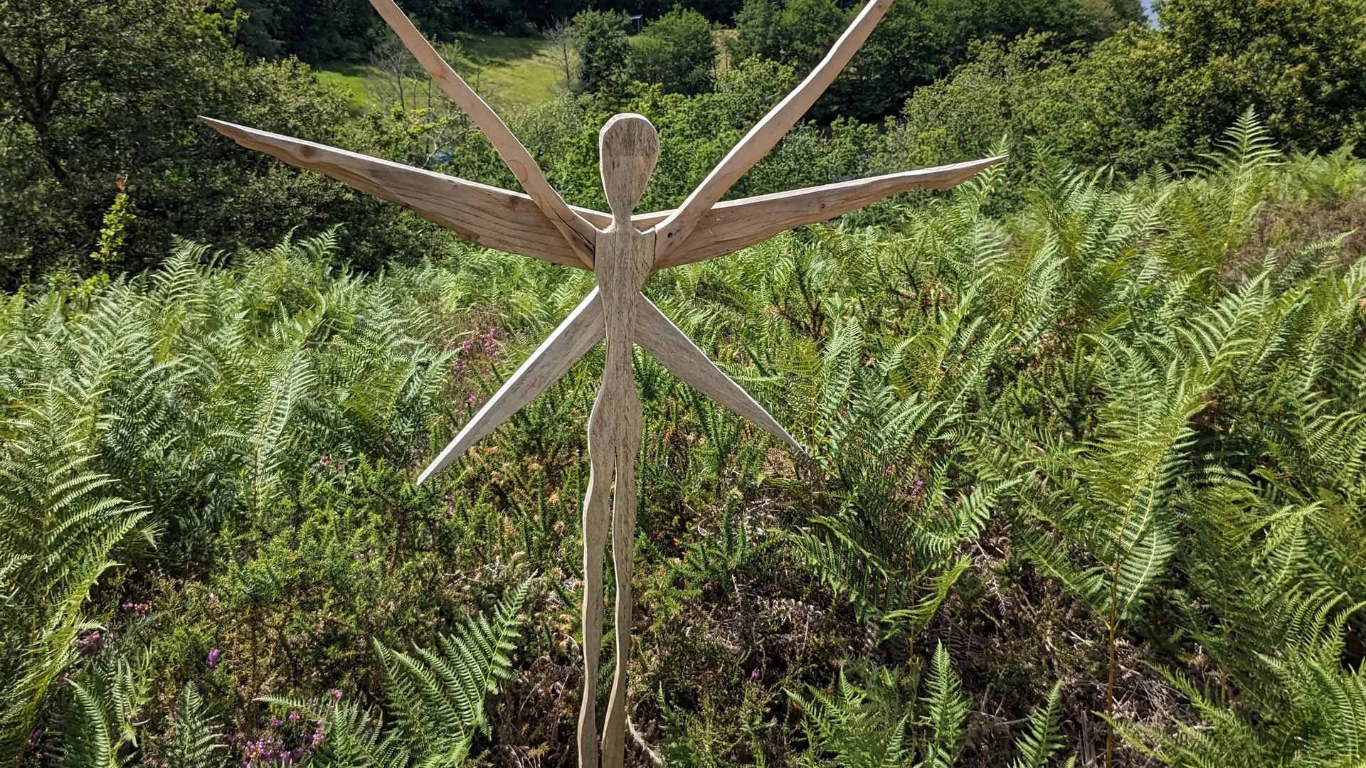 vue du lac de St Pardoux