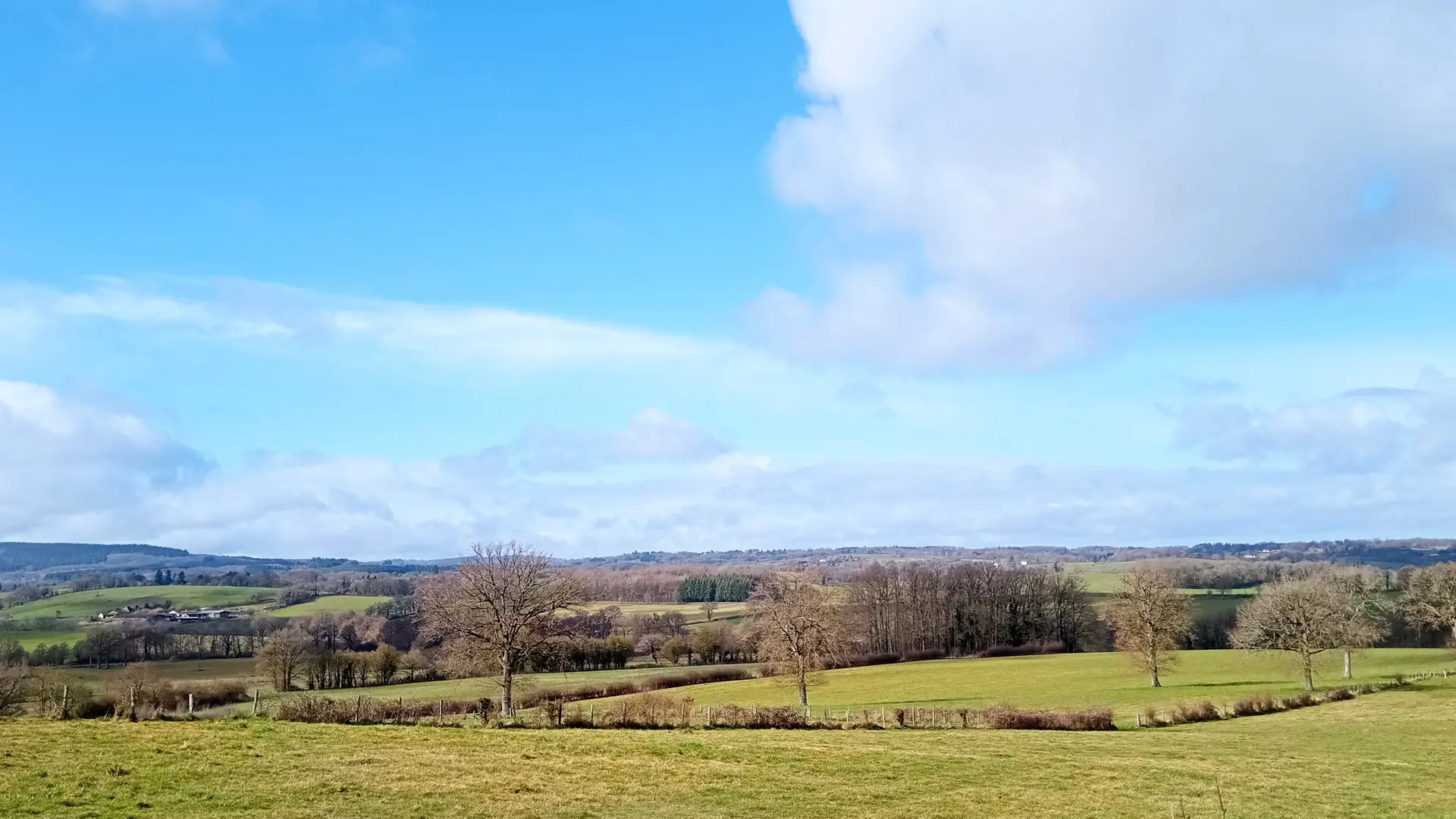 vue juste derrière le terrain
