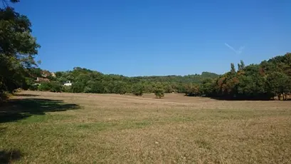 vue1