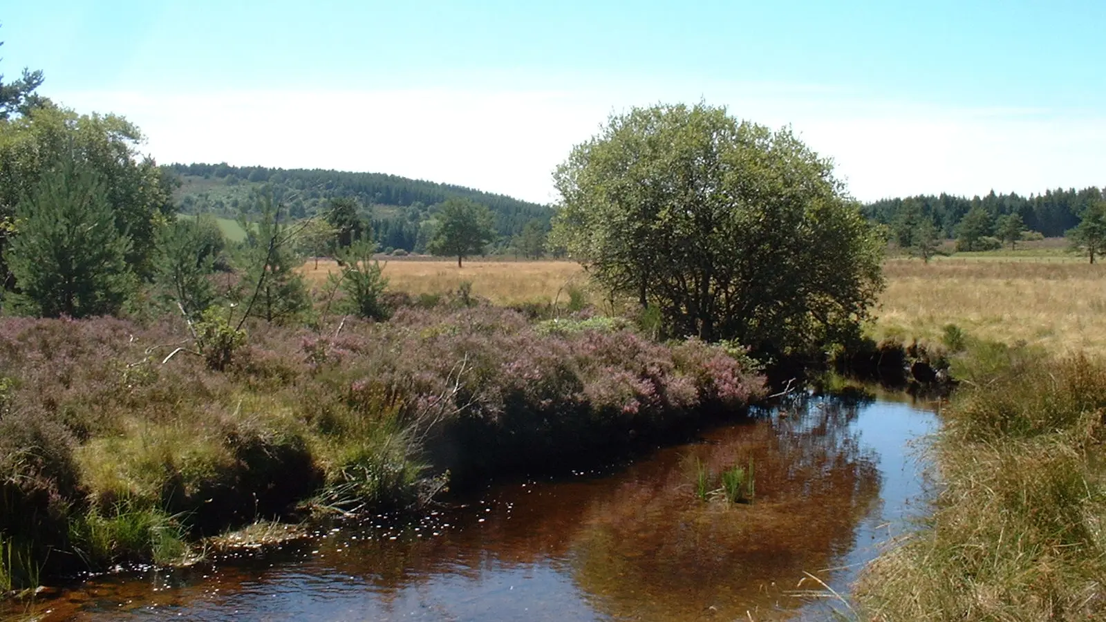 vuegenerale_VTT44_StSetiers_Tour_Plateau