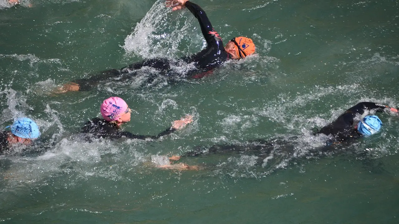 Natation