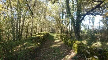 A MuretboucledesSicardies