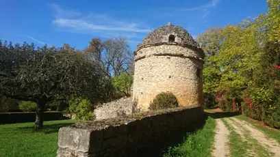 A tourcolybouclecourtedebouch