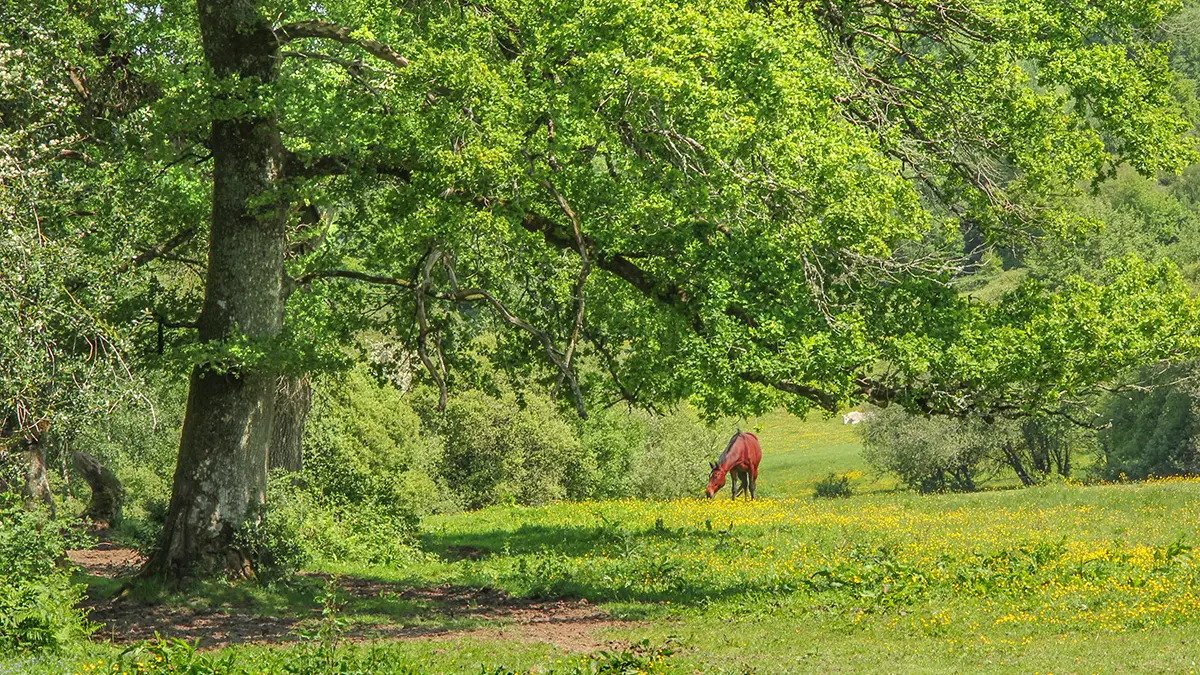La tombe du Marchand 4