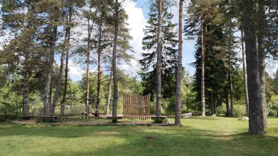 Accrobois - Bugeat © V Pigerole (2)