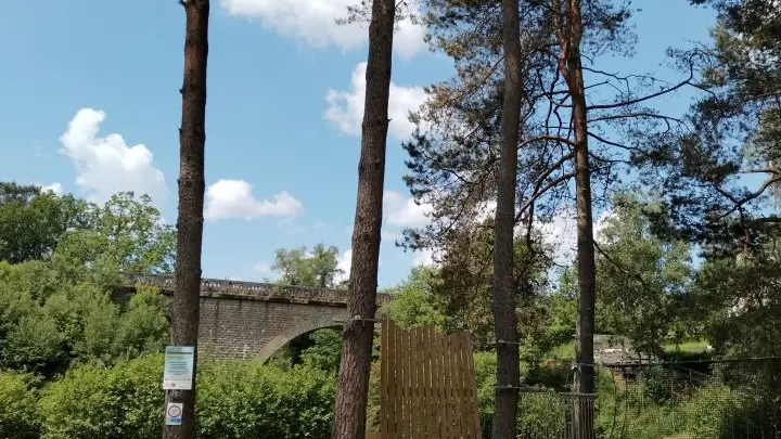 Accrobois - Bugeat © V Pigerole (3)