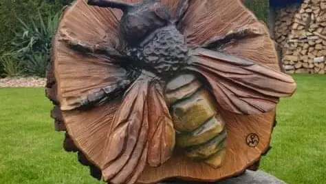 Abeille  jpg (1)