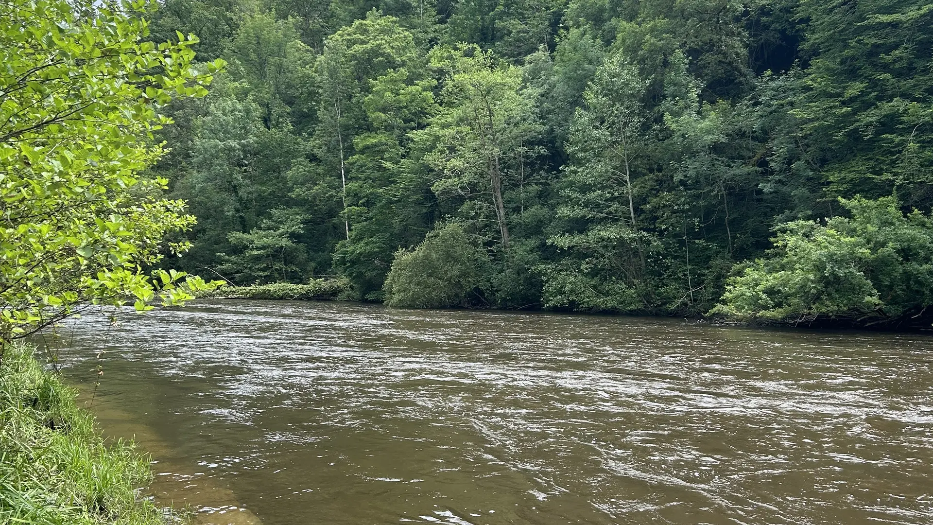 Aire canoë Vézère Estivaux ©L Golfier (2)