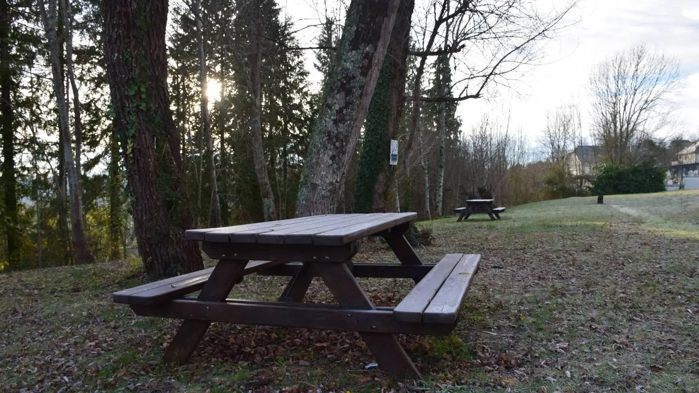 Aire de pique-nique - Bosdarros - table 2