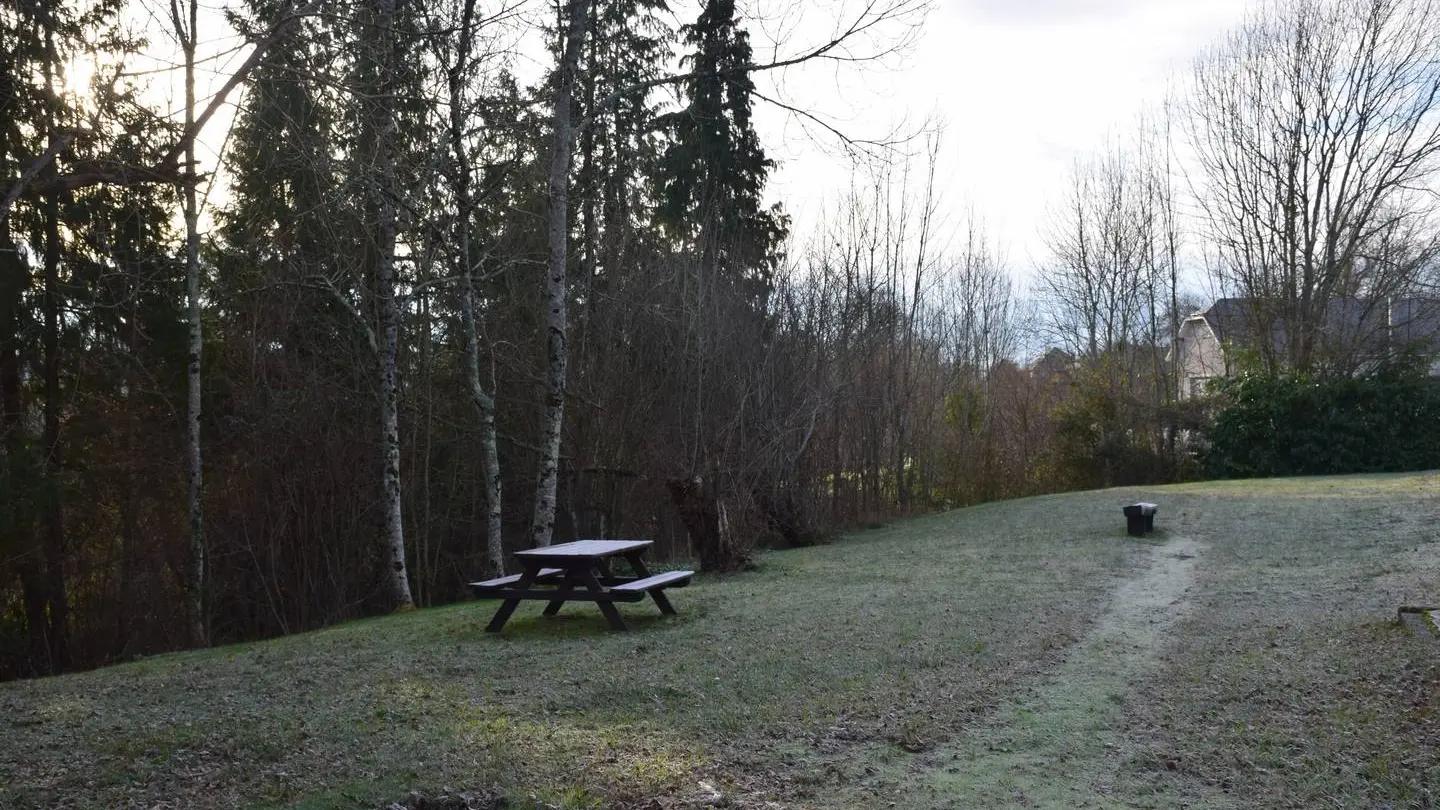 Aire de pique-nique - Bosdarros - table 3