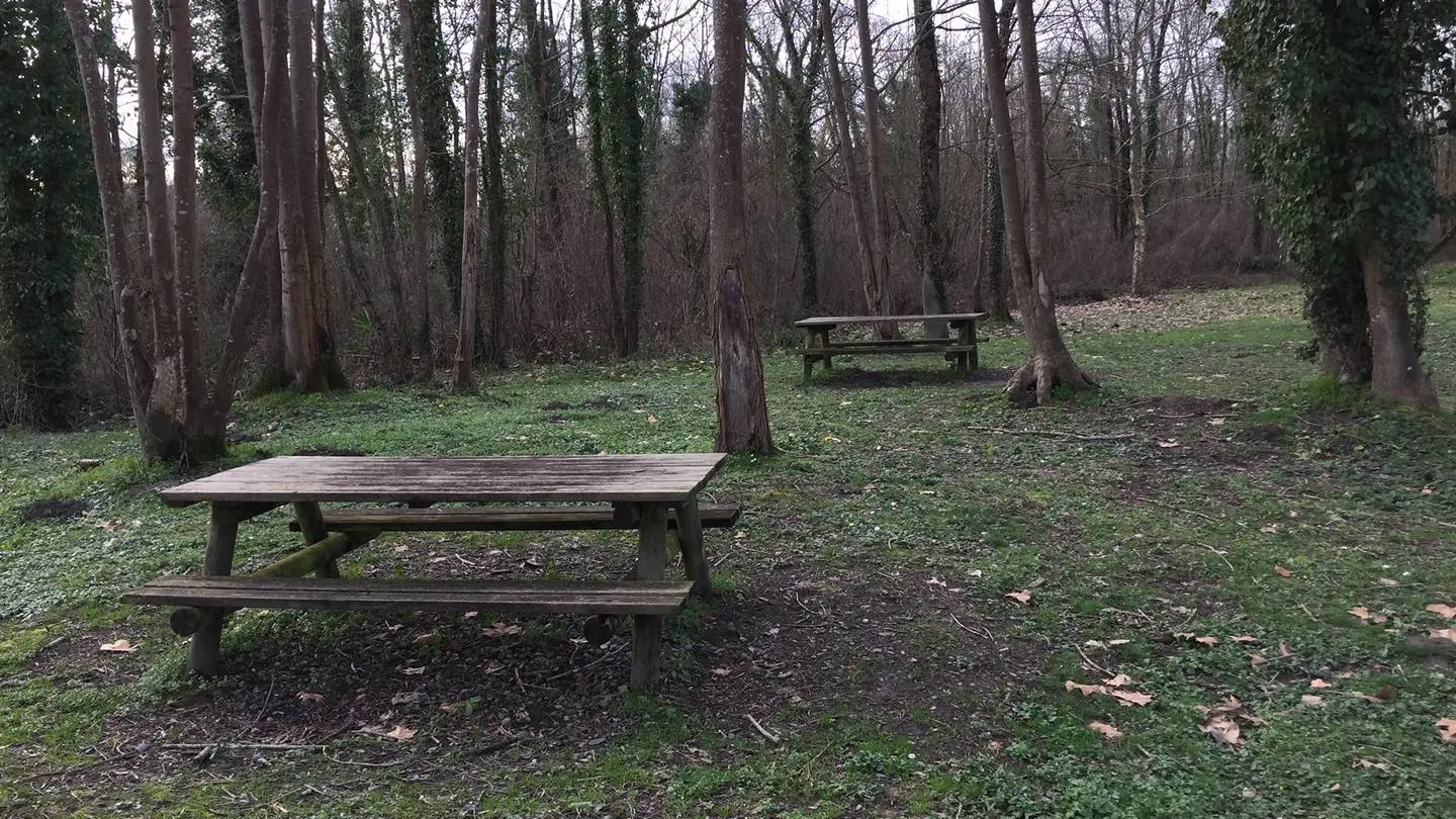 Aire de pique-nique - Siros - tables 1