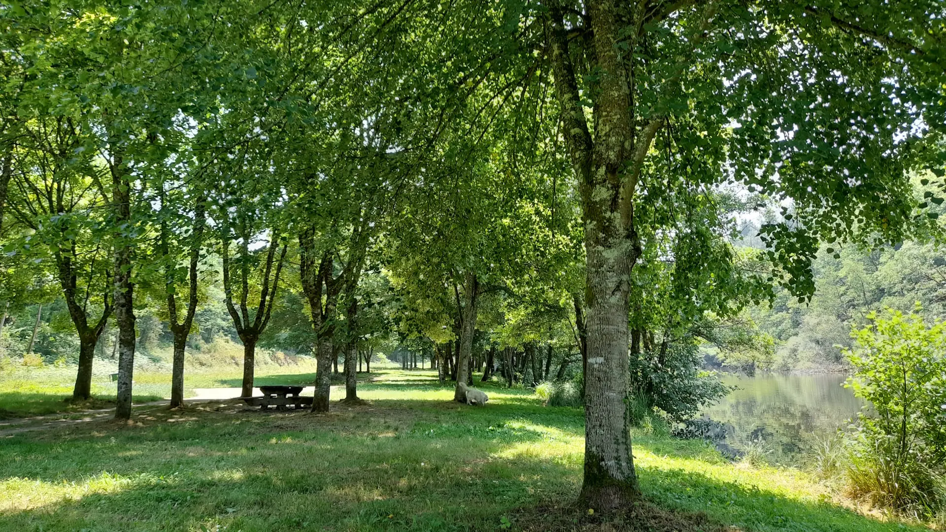 Aire de pique-nique de Beaufort ombragée et au calme le long de la rivière à Saint-Léonard de Noblat