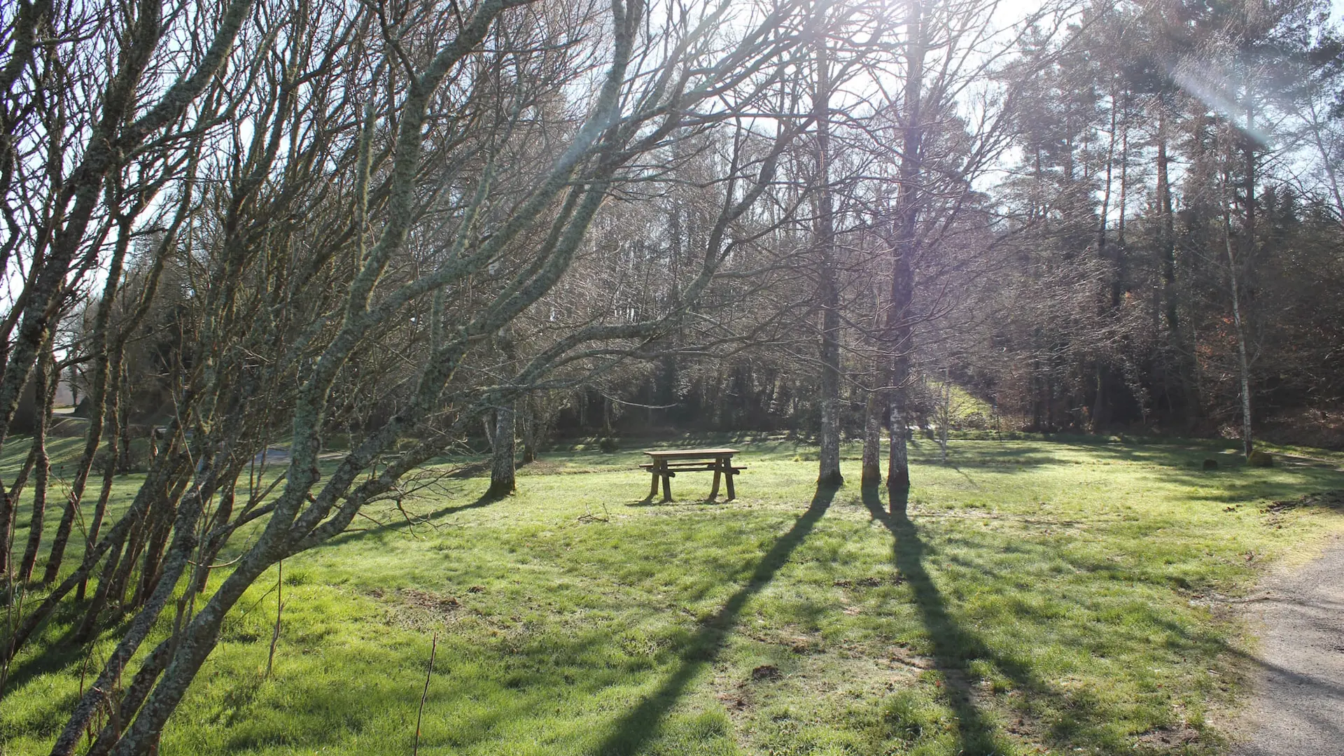 Aire de pique nique de l'étang de pêche de Sauviat sur Vige en Limousin