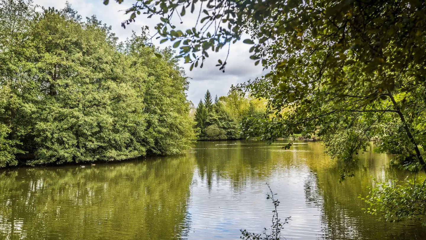 Aire pique nique - Lescar - lac des carolins, le lac