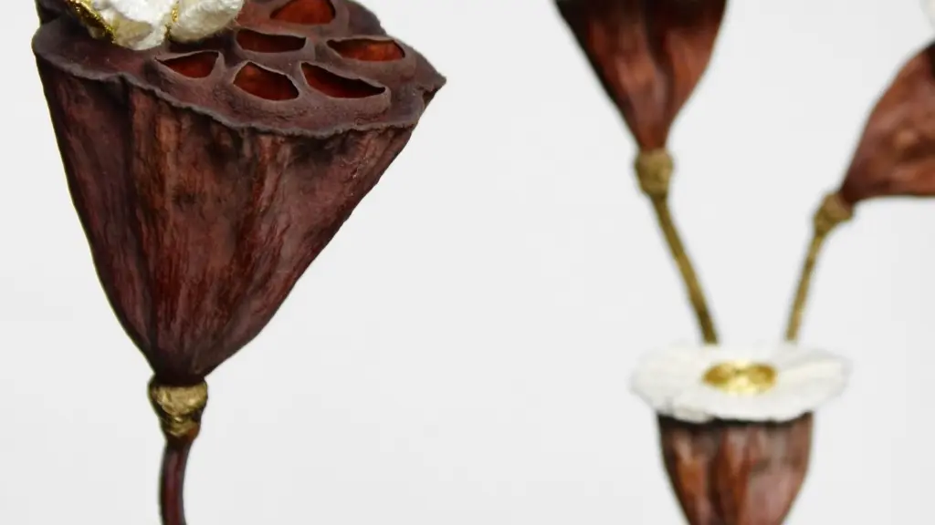 Amandine-blanchet-expo-limoge-le-bocal-galerie bd