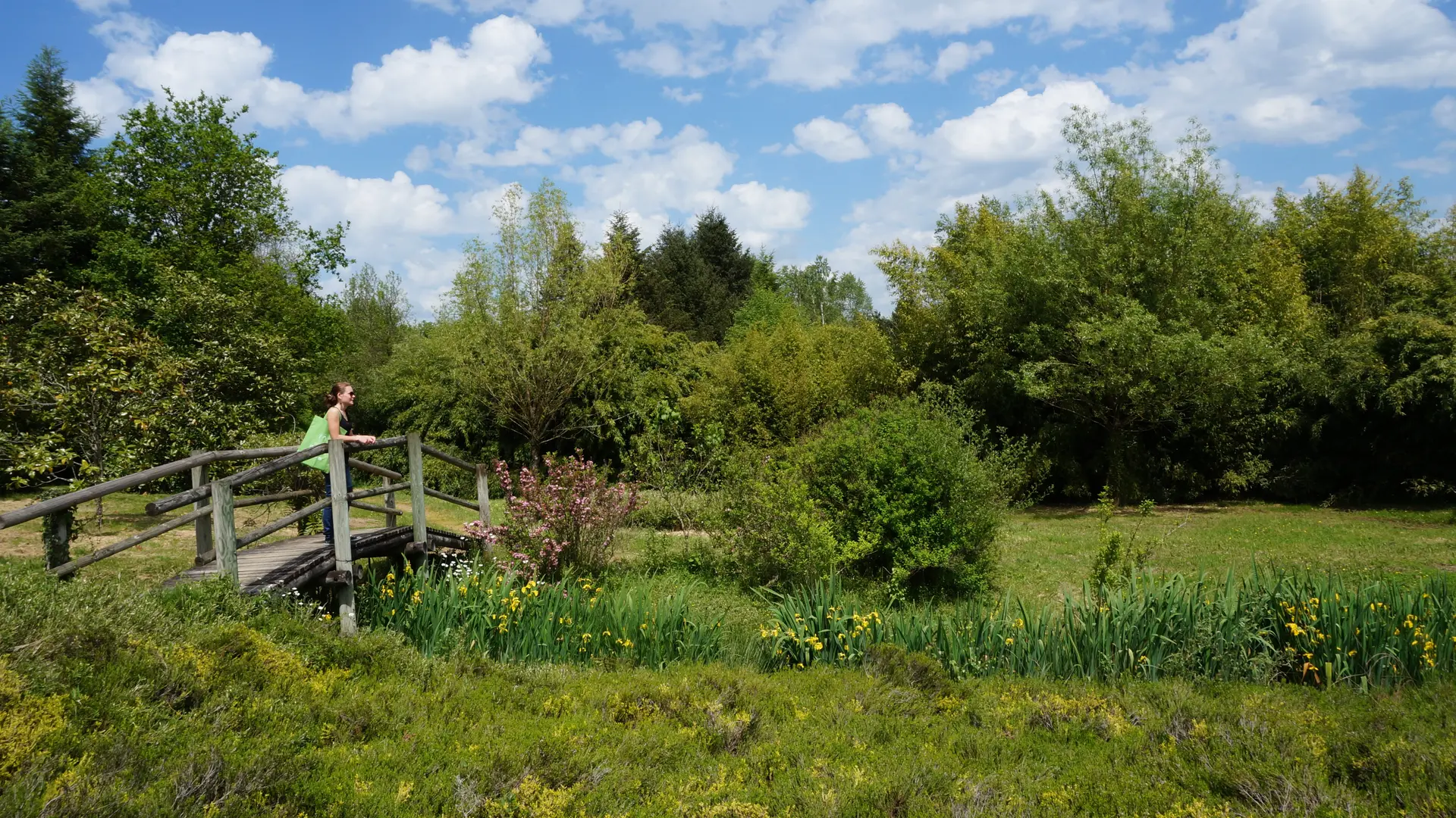 Arboretum - Chamberet ©N Jumelle (5)