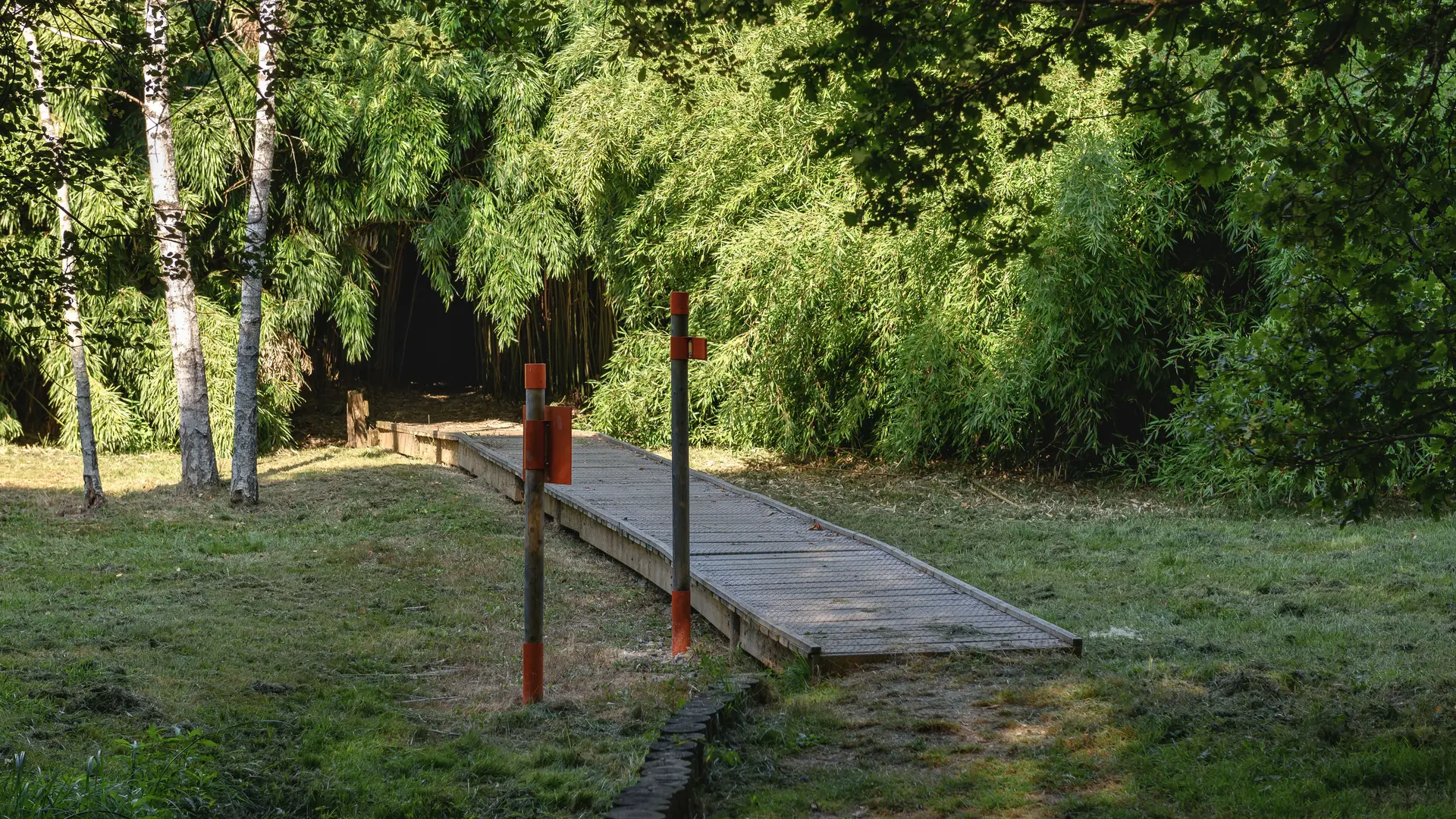 Arboretum Chamberet © Benoit Charles  (1)