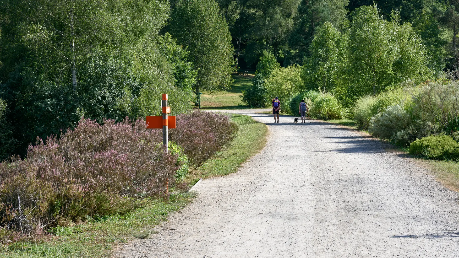 Arboretum Chamberet © Benoit Charles  (15)