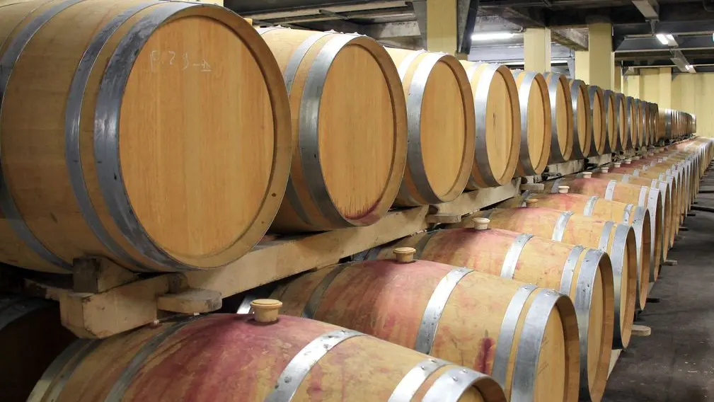 Vignobe