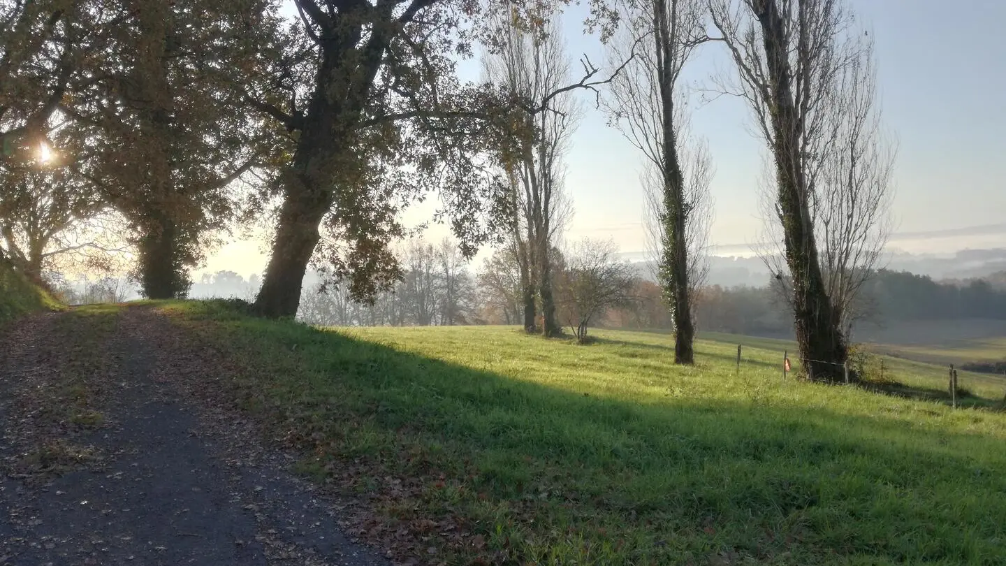 Aube-Audrix-brume-Décembre 2019 (2)