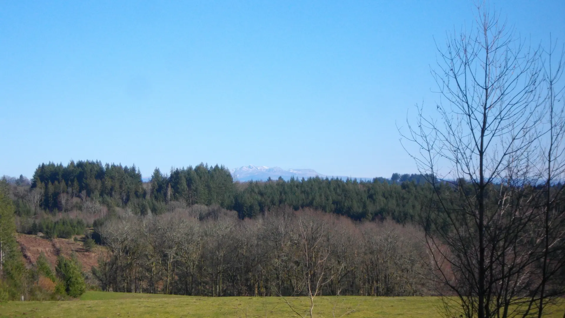 AuxRieux_Sancy