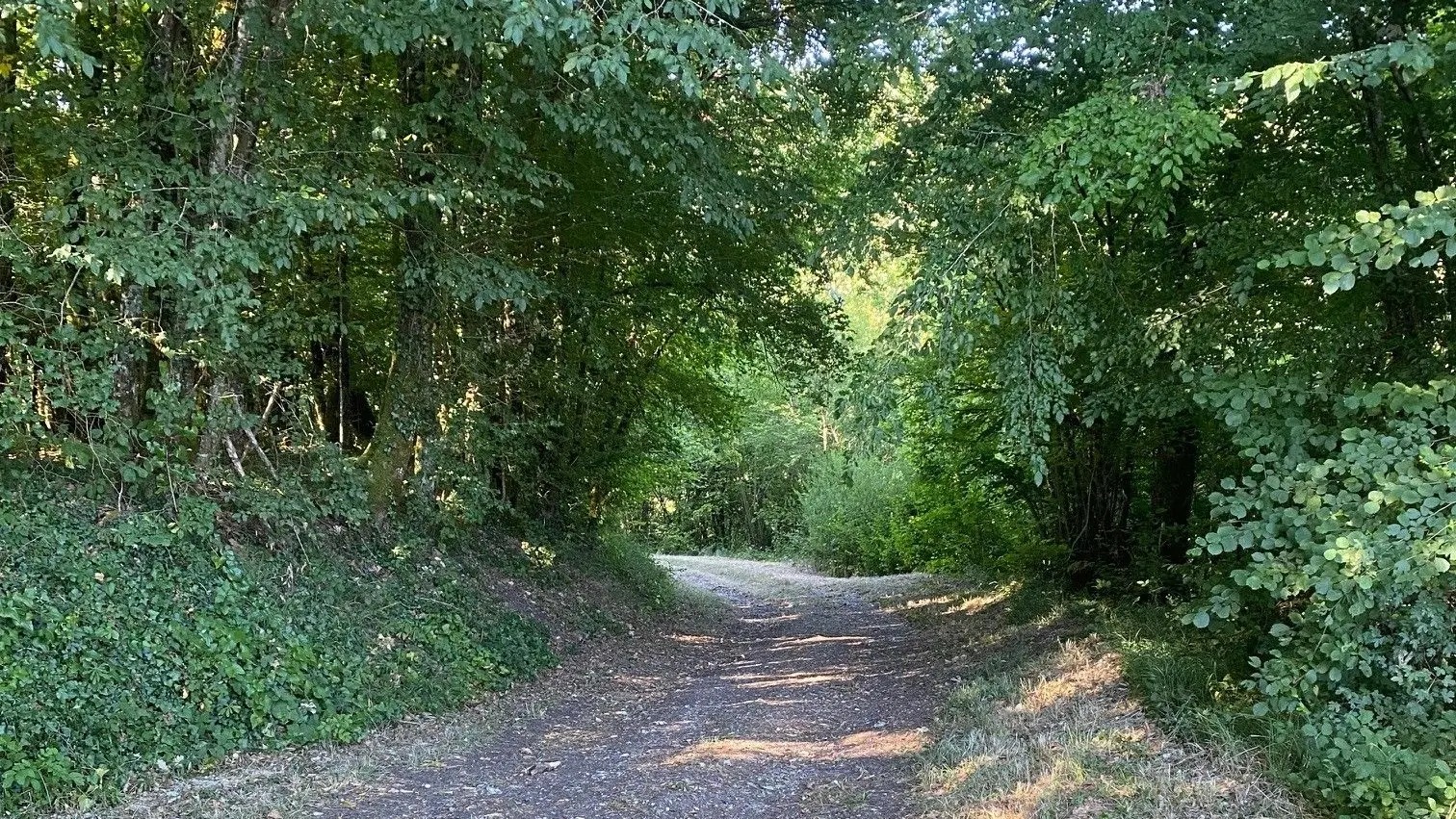 BASSILLAC-Boucle des Bruges-Chemin
