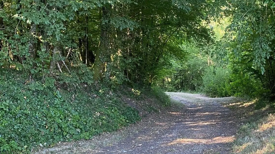 BASSILLAC-Boucles de Fontaines-Chemin