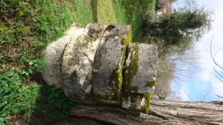 Bcledesplantades-meules1