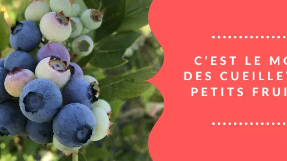 Bannière facebook - 1