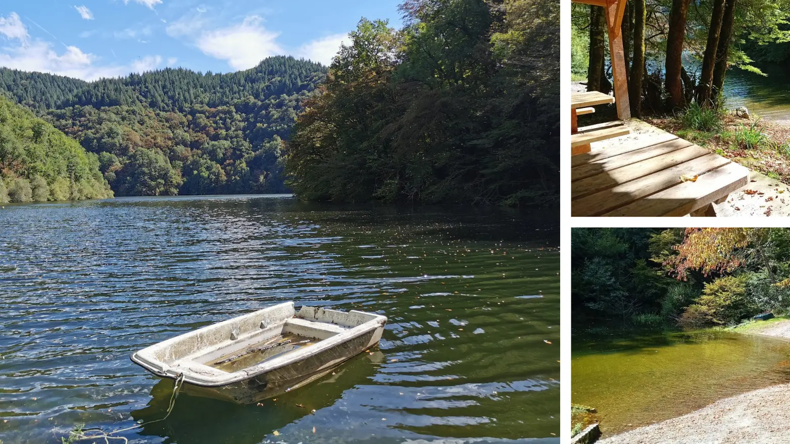 Green Minimalist Leaf Photo Collage - 3