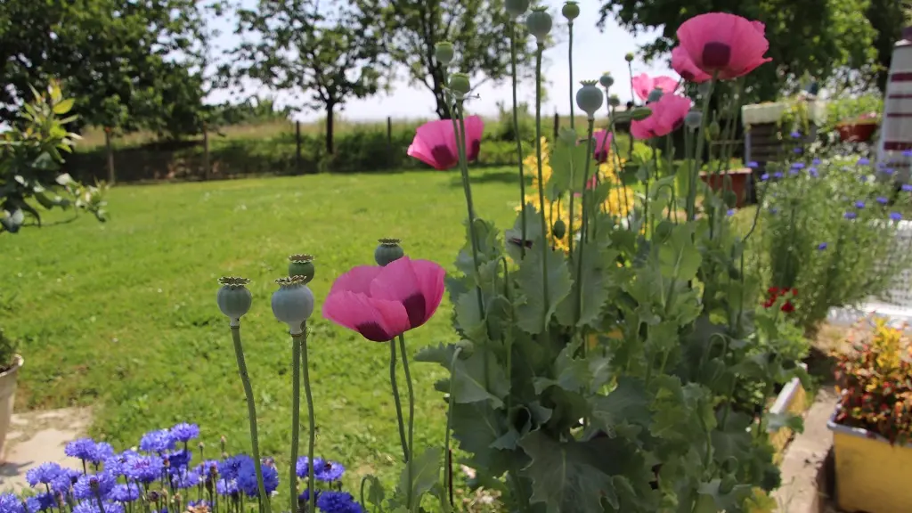 Barrouilhet Grange - jardin