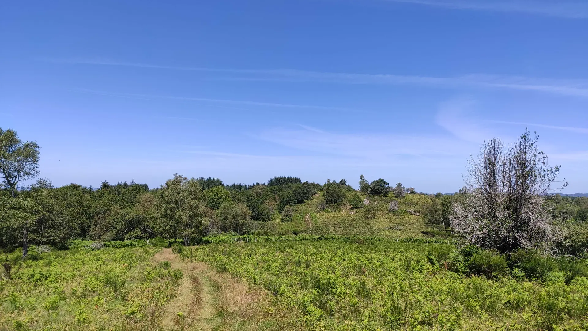 Beaumont-du-Lac - Autour du Bois de Crozat -