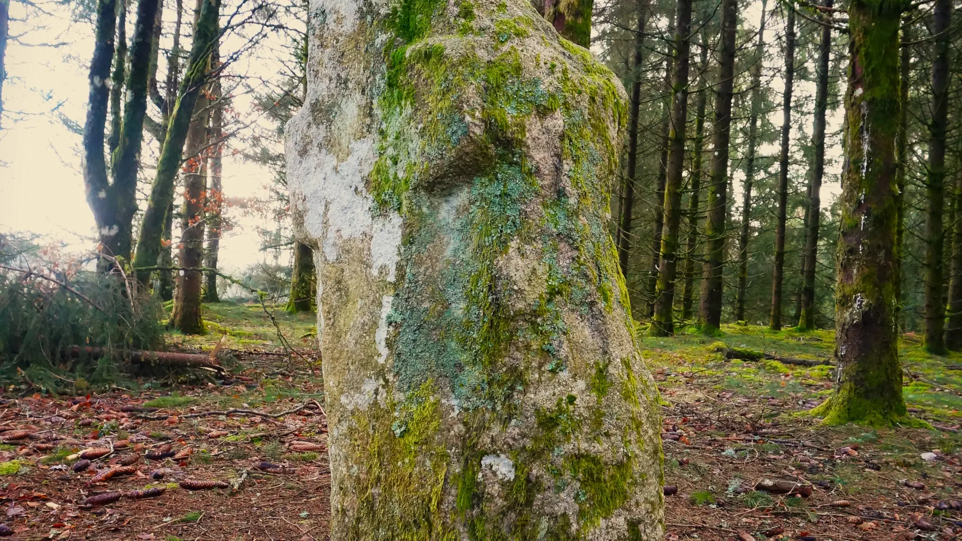 Bonnefond Menhir du Pilard ©N JUmelle (1)